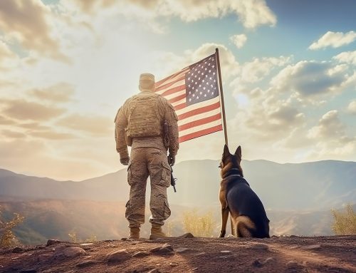 The Honorable Military Working Dogs