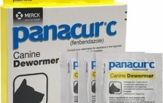 panacur c dog dewormer - fenbendazole cancer treatment concept image