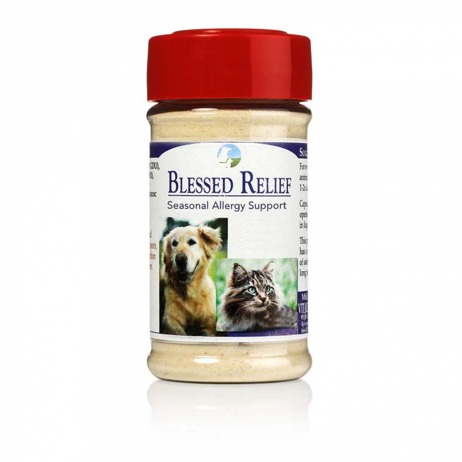 Blessed Relief jar powder