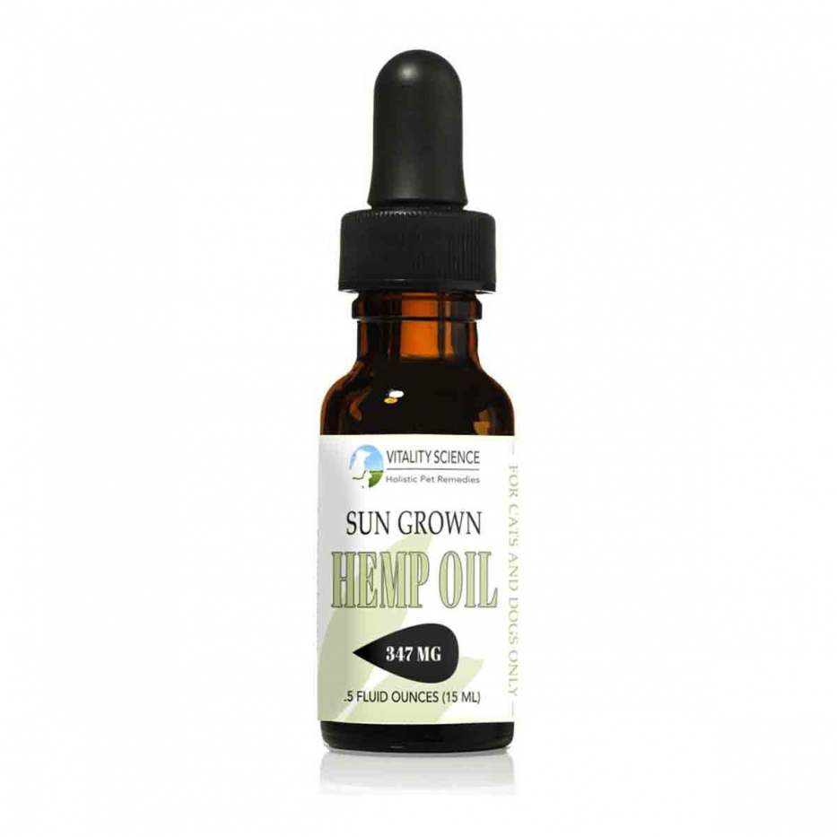 dropper bottle of CBD - cbd oil for dogs and cats concept image