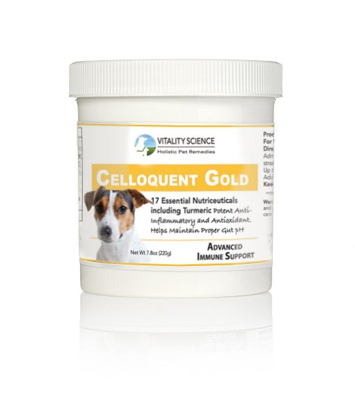 celloquent gold for dog | Immune Support for Dogs