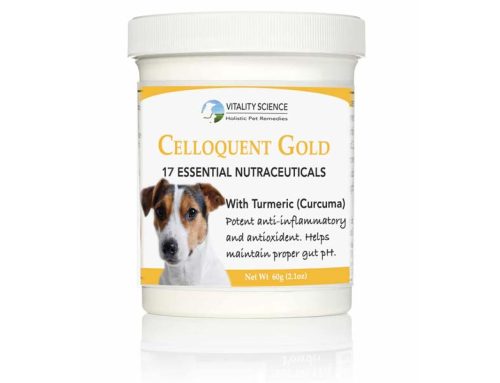 Dog & Cats Health is Improving With Celloquent Gold’s Unique Formulation!